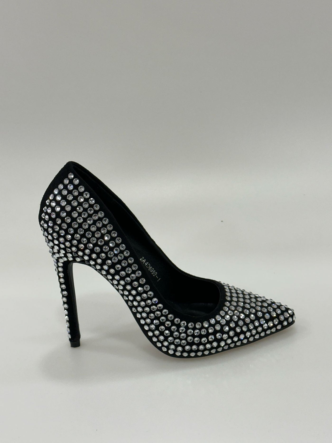 2A4D6989-1 second lady