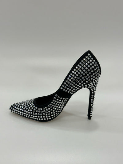 2A4D6989-1 second lady
