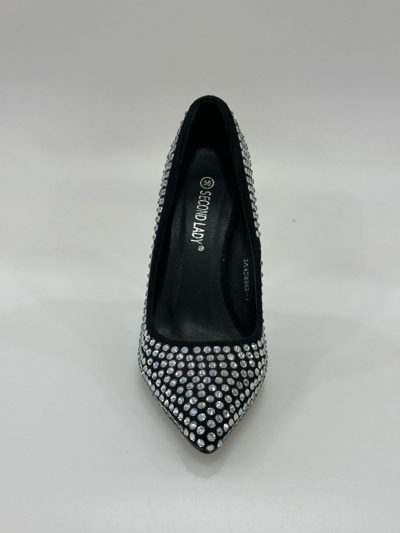 2A4D6989-1 second lady