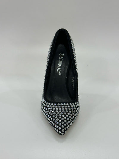 2A4D6989-1 second lady