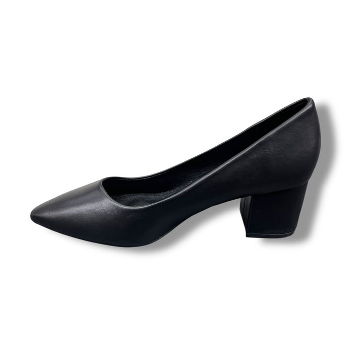 Quiet Geometry pumps L1090